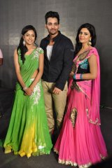 Prema Ishq Kaadhal Audio Function